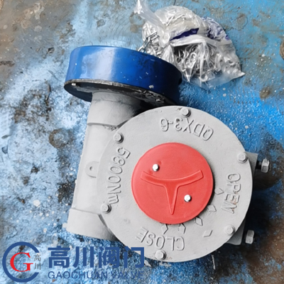 6號帶鏈條蝸輪箱